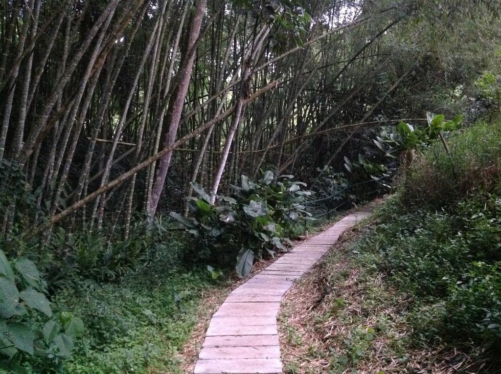 Ecohotel Spa Paraiso Verde 金巴亚 外观 照片